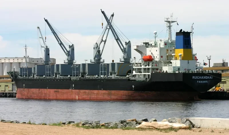 RUI CHANG HAI Bulk Carrier IMO 9127954 photo 7