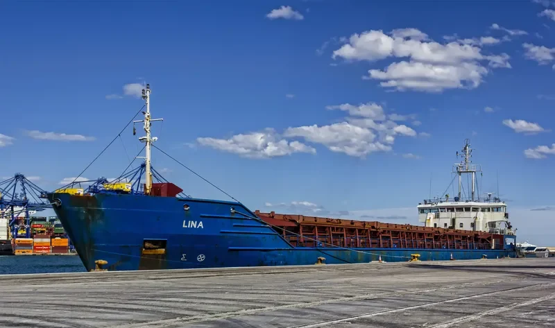 LINA General Cargo IMO 9128001 photo 9