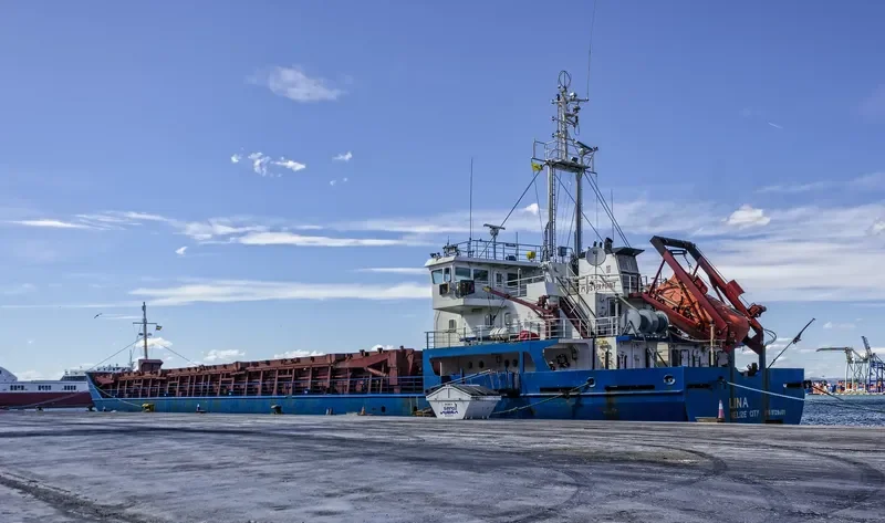 LINA General Cargo IMO 9128001 photo 10