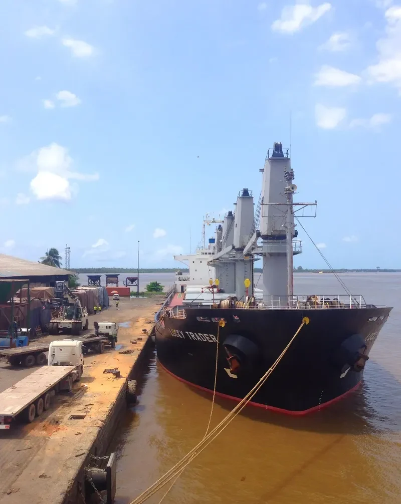 NEPTUNE J Bulk Carrier IMO 9128075