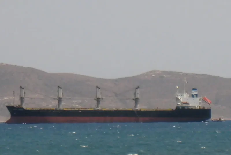 NEPTUNE J Bulk Carrier IMO 9128075 photo 2