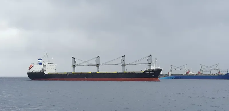 NEPTUNE J Bulk Carrier IMO 9128075 photo 3