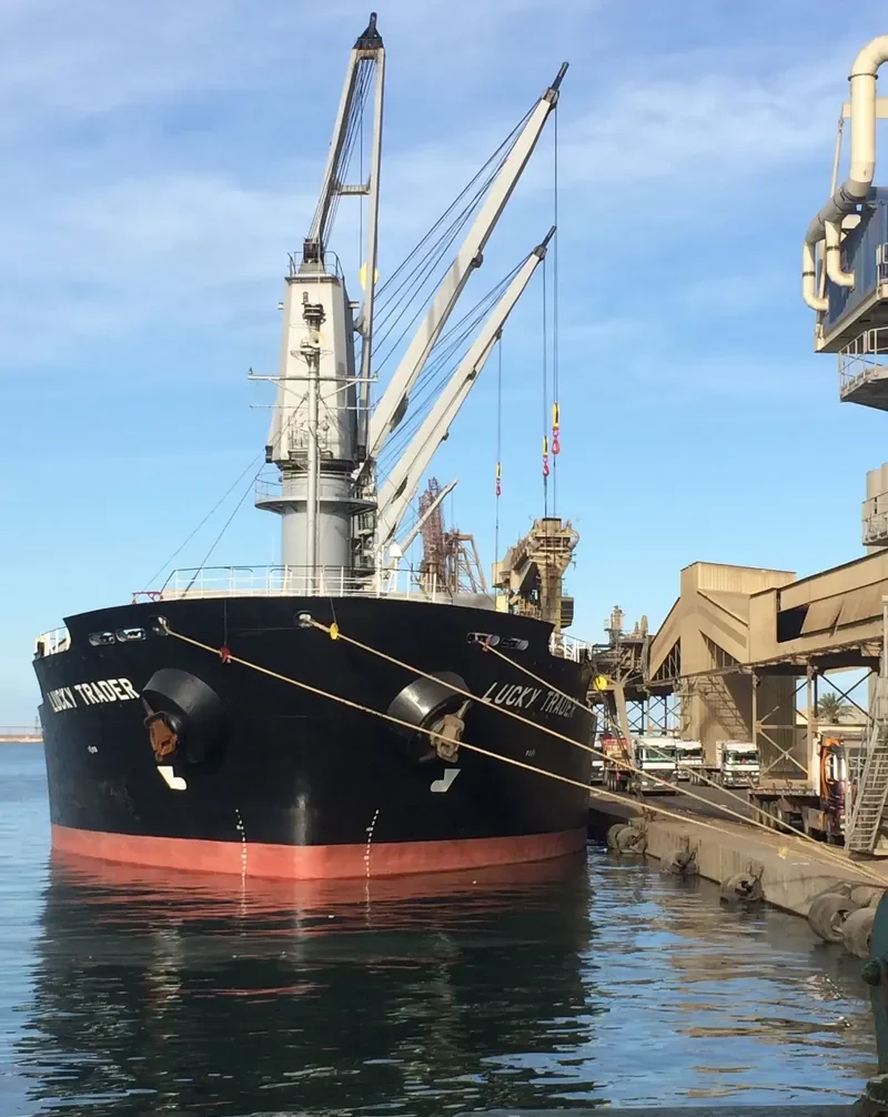 NEPTUNE J Bulk Carrier IMO 9128075 photo 4