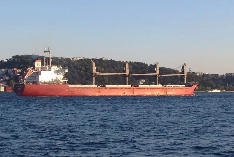 NEPTUNE J Bulk Carrier IMO 9128075 photo 6