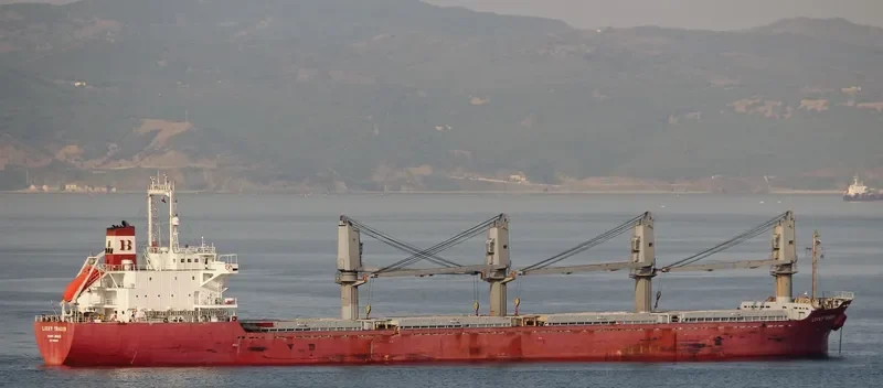 NEPTUNE J Bulk Carrier IMO 9128075 photo 7