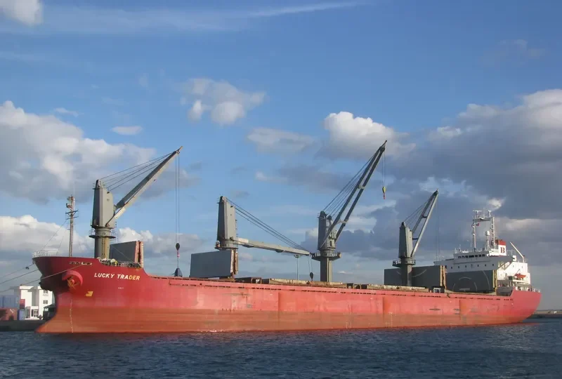 NEPTUNE J Bulk Carrier IMO 9128075 photo 8