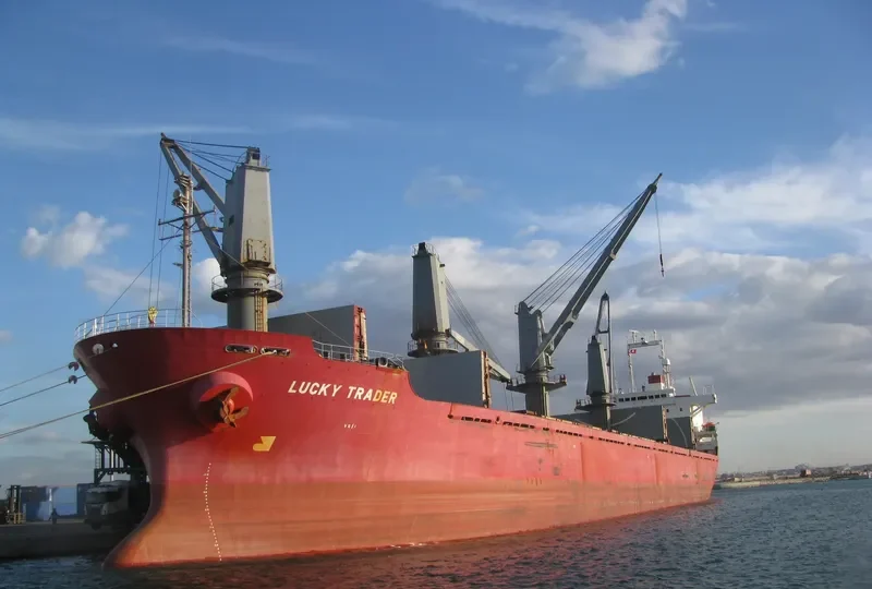 NEPTUNE J Bulk Carrier IMO 9128075 photo 9