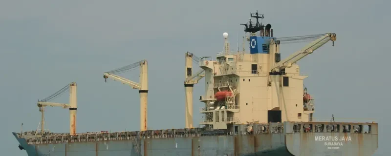 MERATUS JAVA Container Ship IMO 9128087