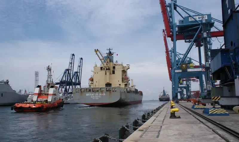 MERATUS JAVA Container Ship IMO 9128087 photo 2
