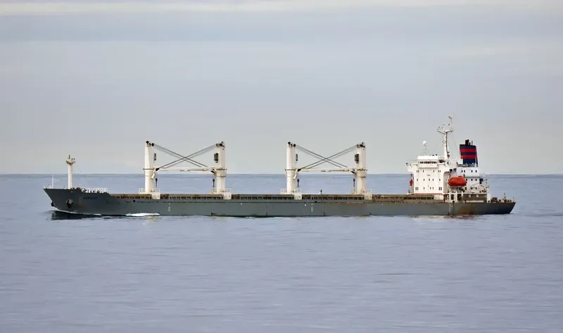 LOLO GATE Bulk Carrier IMO 9128104