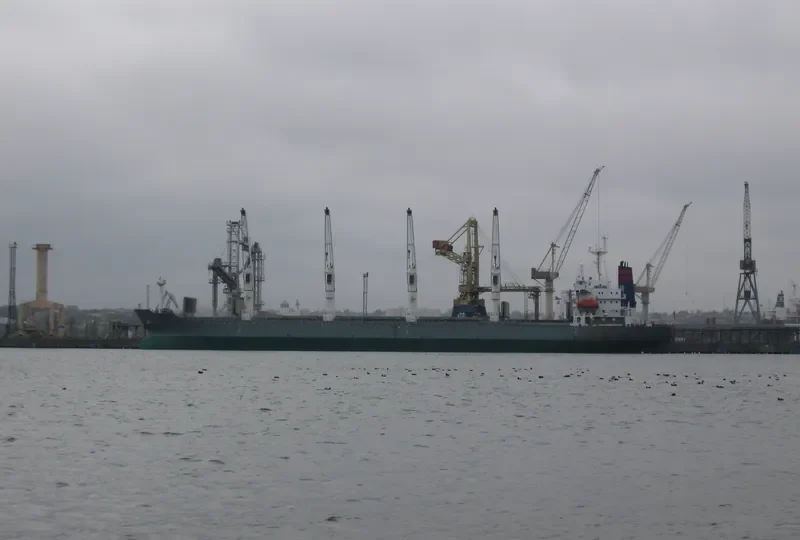 LOLO GATE Bulk Carrier IMO 9128104 photo 2