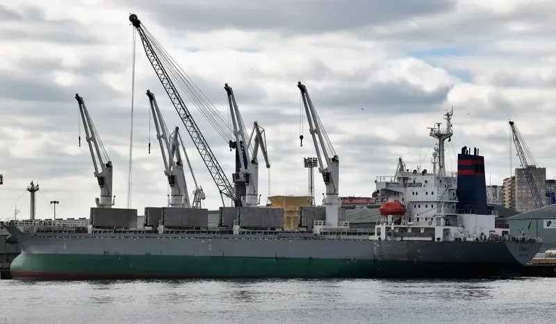 LOLO GATE Bulk Carrier IMO 9128104 photo 3