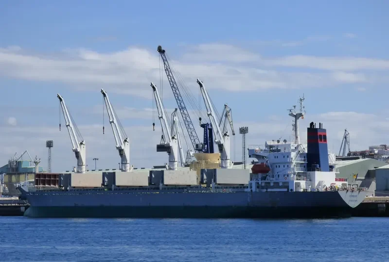 LOLO GATE Bulk Carrier IMO 9128104 photo 5
