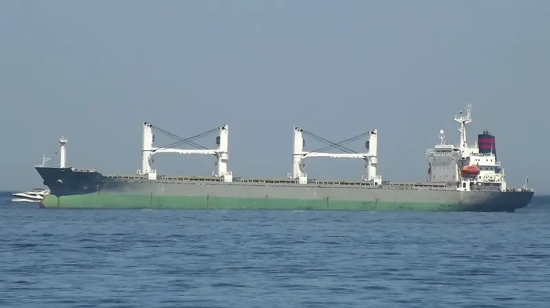 LOLO GATE Bulk Carrier IMO 9128104 photo 7