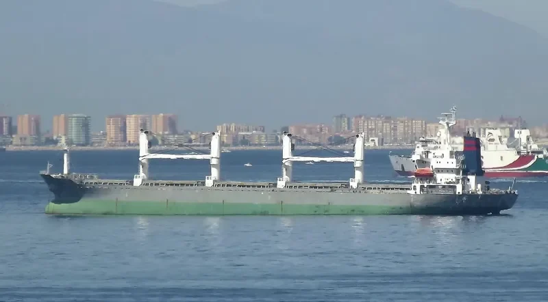 LOLO GATE Bulk Carrier IMO 9128104 photo 8