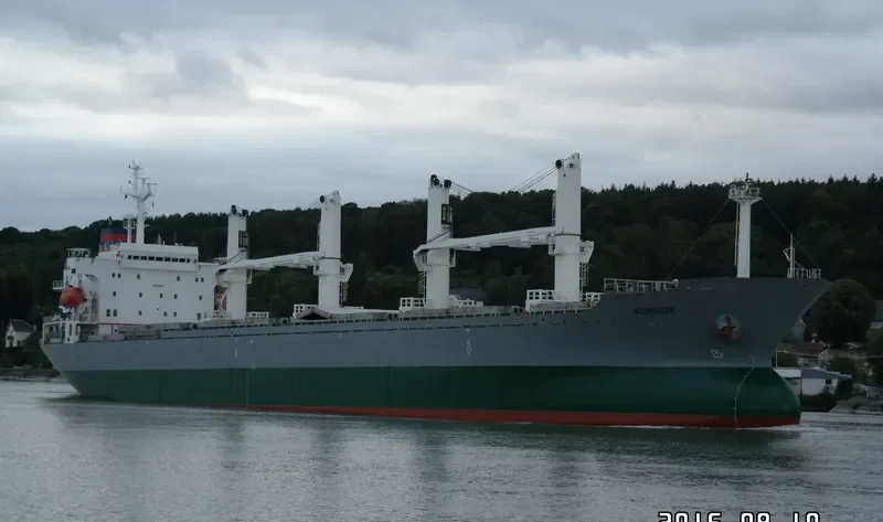 LOLO GATE Bulk Carrier IMO 9128104 photo 9