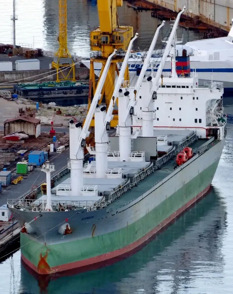 LOLO GATE Bulk Carrier IMO 9128104 photo 10