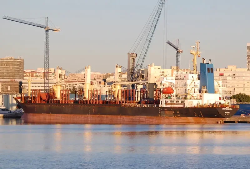 FORTUNE ERA Bulk Carrier IMO 9128116 photo 2