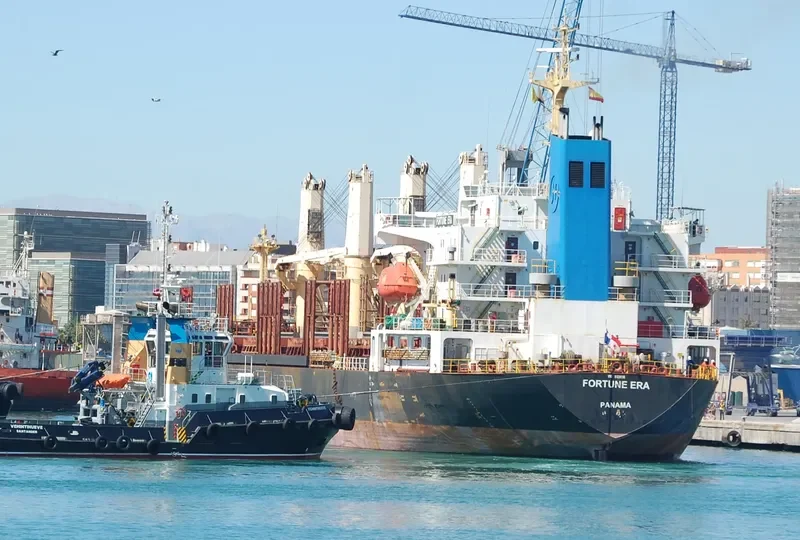 FORTUNE ERA Bulk Carrier IMO 9128116 photo 3