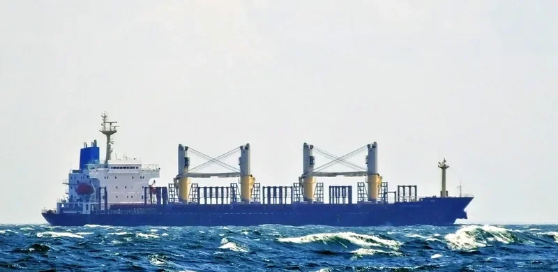 FORTUNE ERA Bulk Carrier IMO 9128116 photo 9