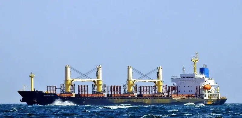 FORTUNE ERA Bulk Carrier IMO 9128116 photo 10