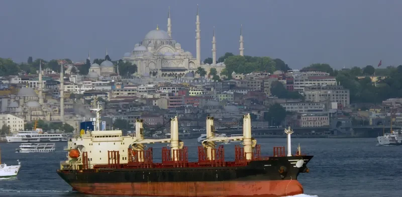 MERAIO Bulk Carrier IMO 9128142