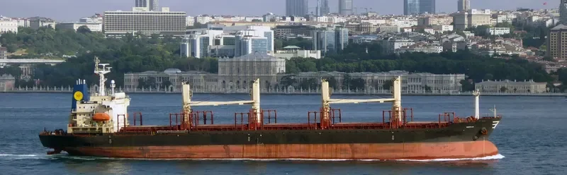 MERAIO Bulk Carrier IMO 9128142 photo 2