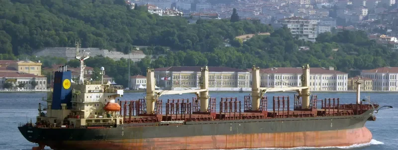 MERAIO Bulk Carrier IMO 9128142 photo 3