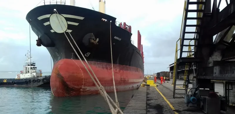 MERAIO Bulk Carrier IMO 9128142 photo 4