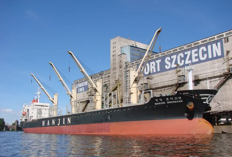 MERAIO Bulk Carrier IMO 9128142 photo 6