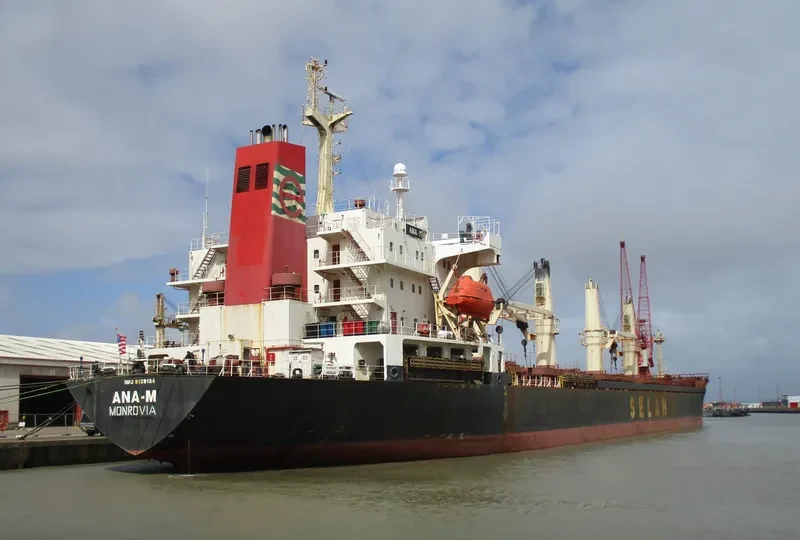 LADY MOON Bulk Carrier IMO 9128154