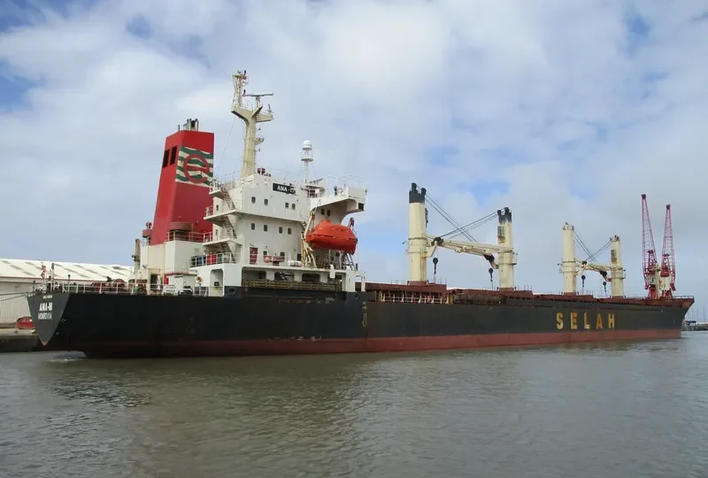 LADY MOON Bulk Carrier IMO 9128154 photo 2