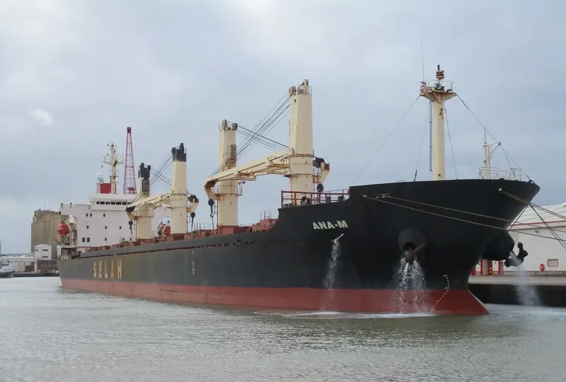 LADY MOON Bulk Carrier IMO 9128154 photo 3