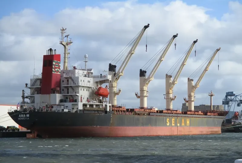 LADY MOON Bulk Carrier IMO 9128154 photo 4
