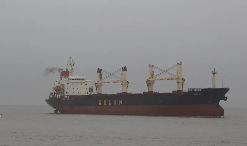 LADY MOON Bulk Carrier IMO 9128154 photo 5