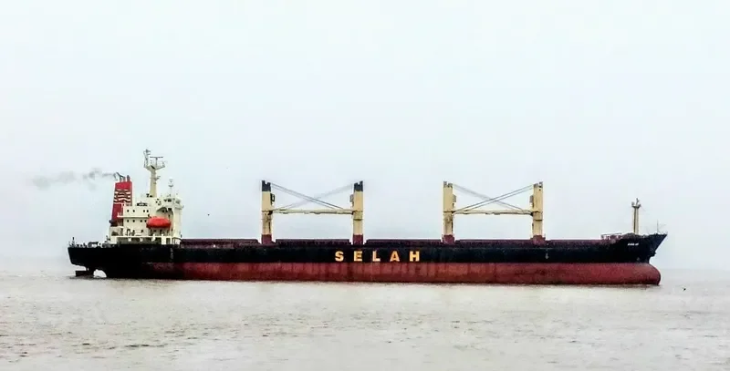 LADY MOON Bulk Carrier IMO 9128154 photo 6