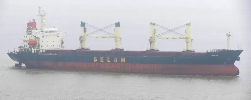 LADY MOON Bulk Carrier IMO 9128154 photo 7