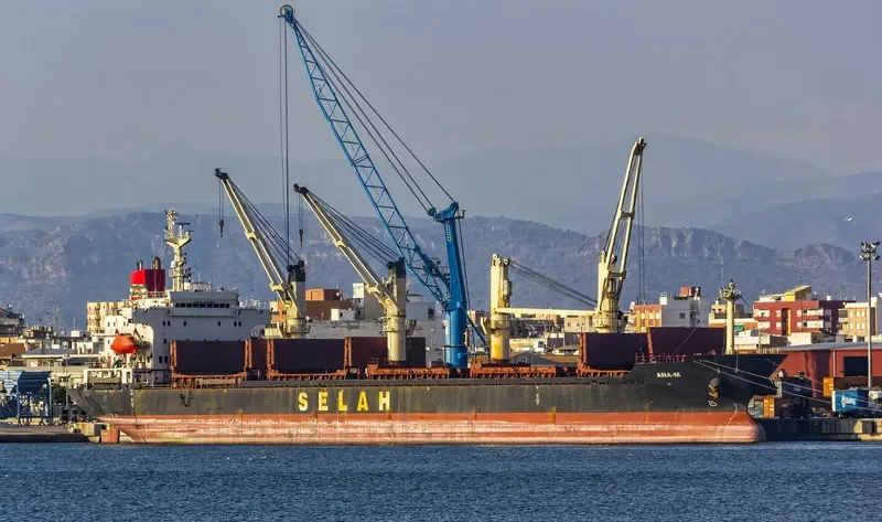LADY MOON Bulk Carrier IMO 9128154 photo 8