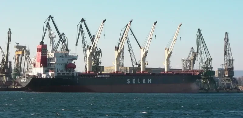 LADY MOON Bulk Carrier IMO 9128154 photo 9