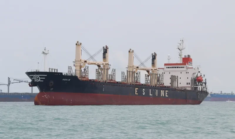LADY MOON Bulk Carrier IMO 9128154 photo 10
