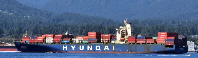 HYUNDAI HIGHNESS Container Ship IMO 9128166 photo 4