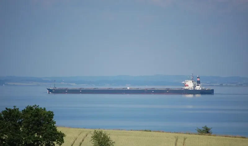 CHIHIRO Bulk Carrier IMO 9128178 photo 7