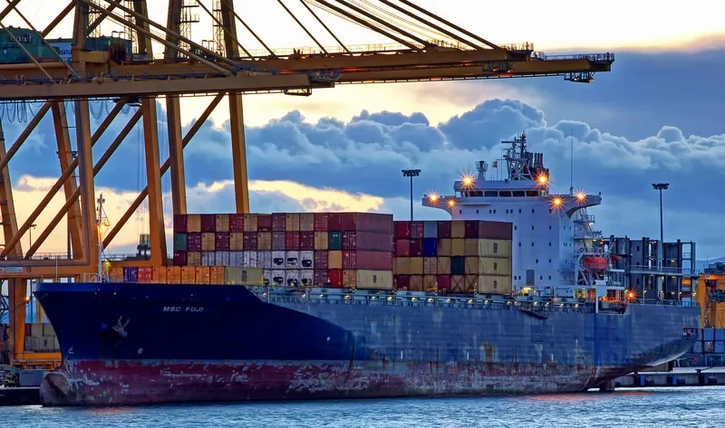 MSC FUJI Container Ship IMO 9128207 photo 2