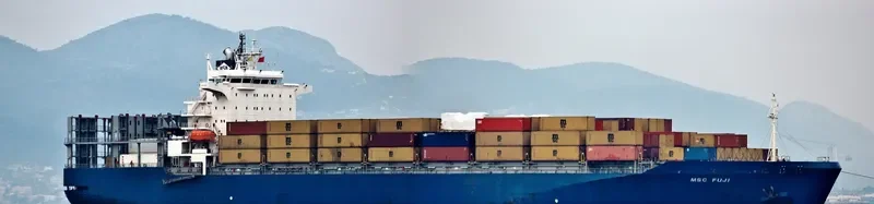 MSC FUJI Container Ship IMO 9128207 photo 4