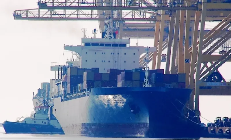 MSC FUJI Container Ship IMO 9128207 photo 5