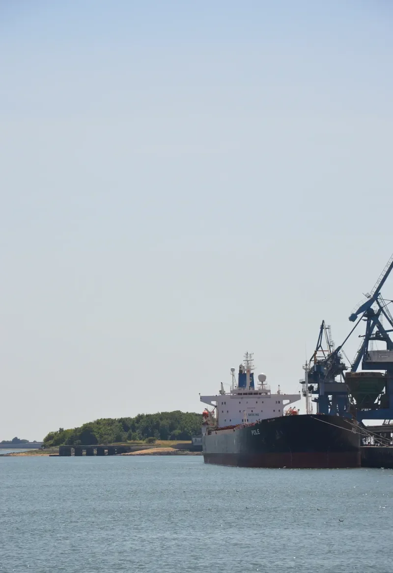 ZHENG JIE Bulk Carrier IMO 9128245 photo 8
