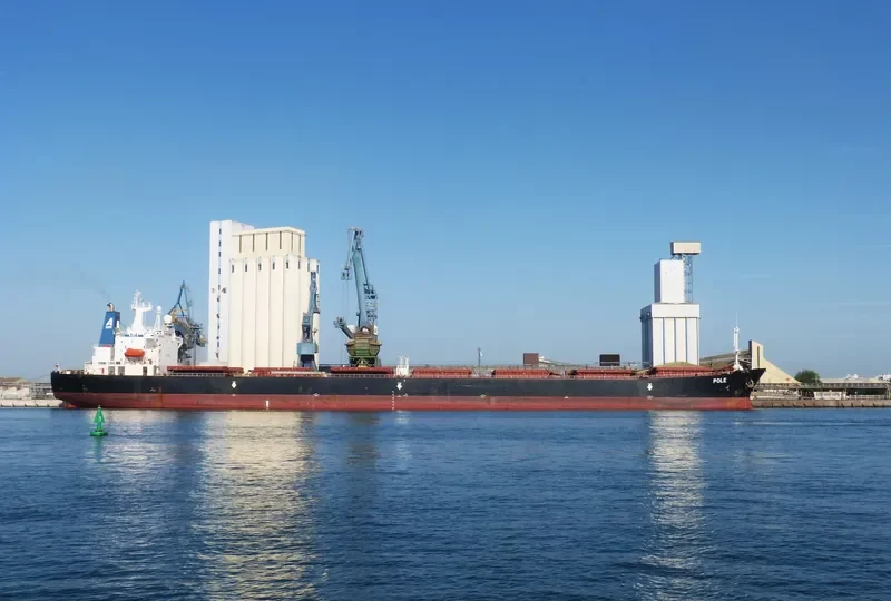 ZHENG JIE Bulk Carrier IMO 9128245 photo 9