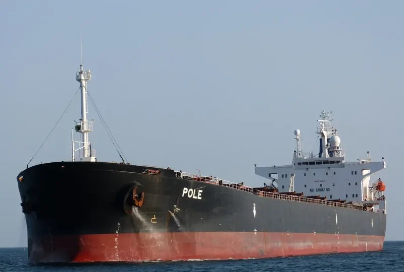 ZHENG JIE Bulk Carrier IMO 9128245 photo 10