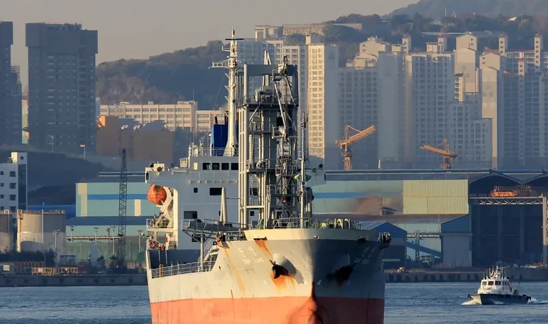 DAN YANG General Cargo IMO 9128295 photo 3