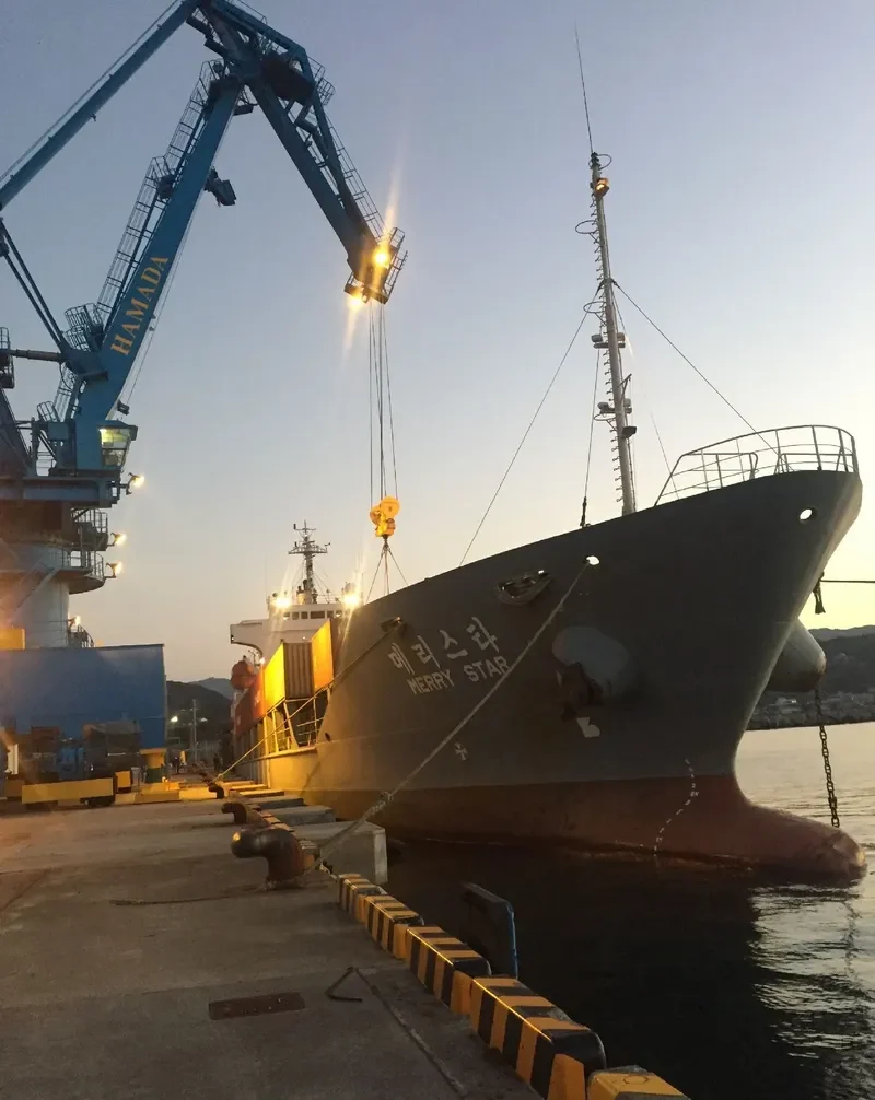 MERRY STAR Container Ship IMO 9128324 photo 3